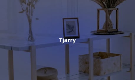 Caso: Tjarry y PriceShape